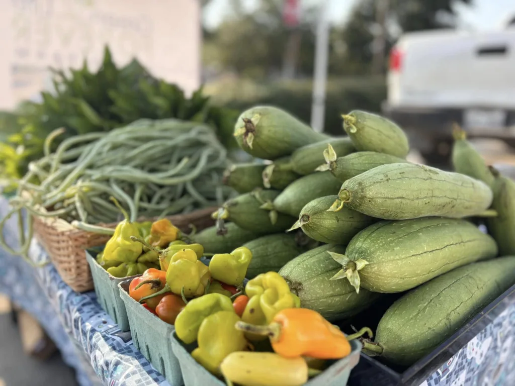 Fresh Veg